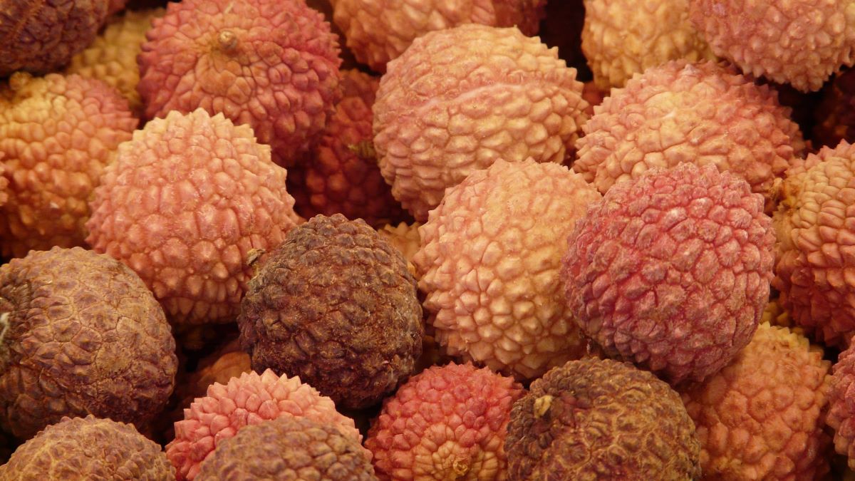 Deterioro poscosecha y tecnologías de conservación en la producción de litchi.jpg